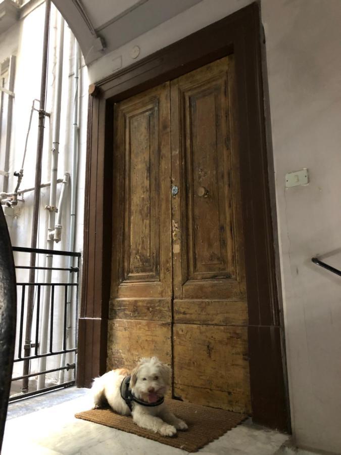 Akasa Di Flock * Naples