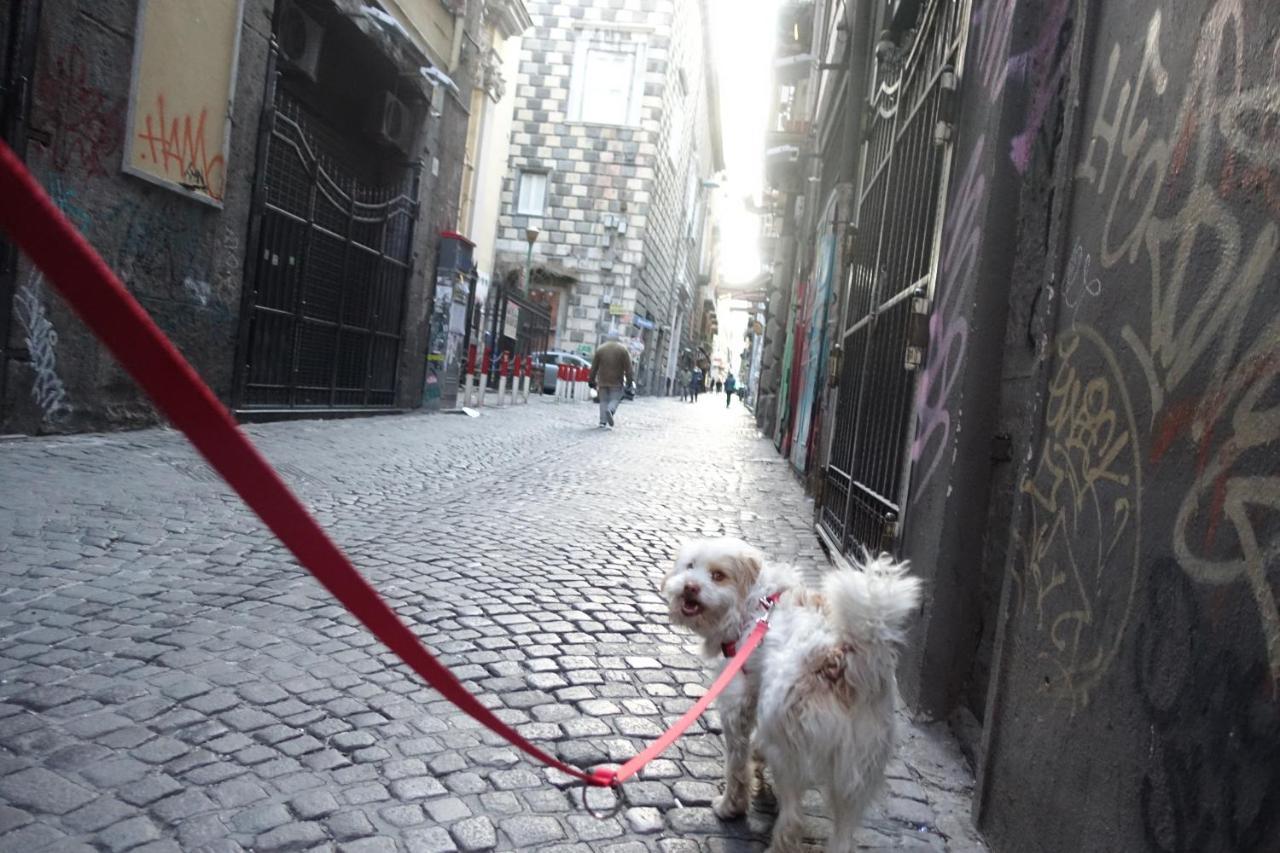 Akasa Di Flock Naples